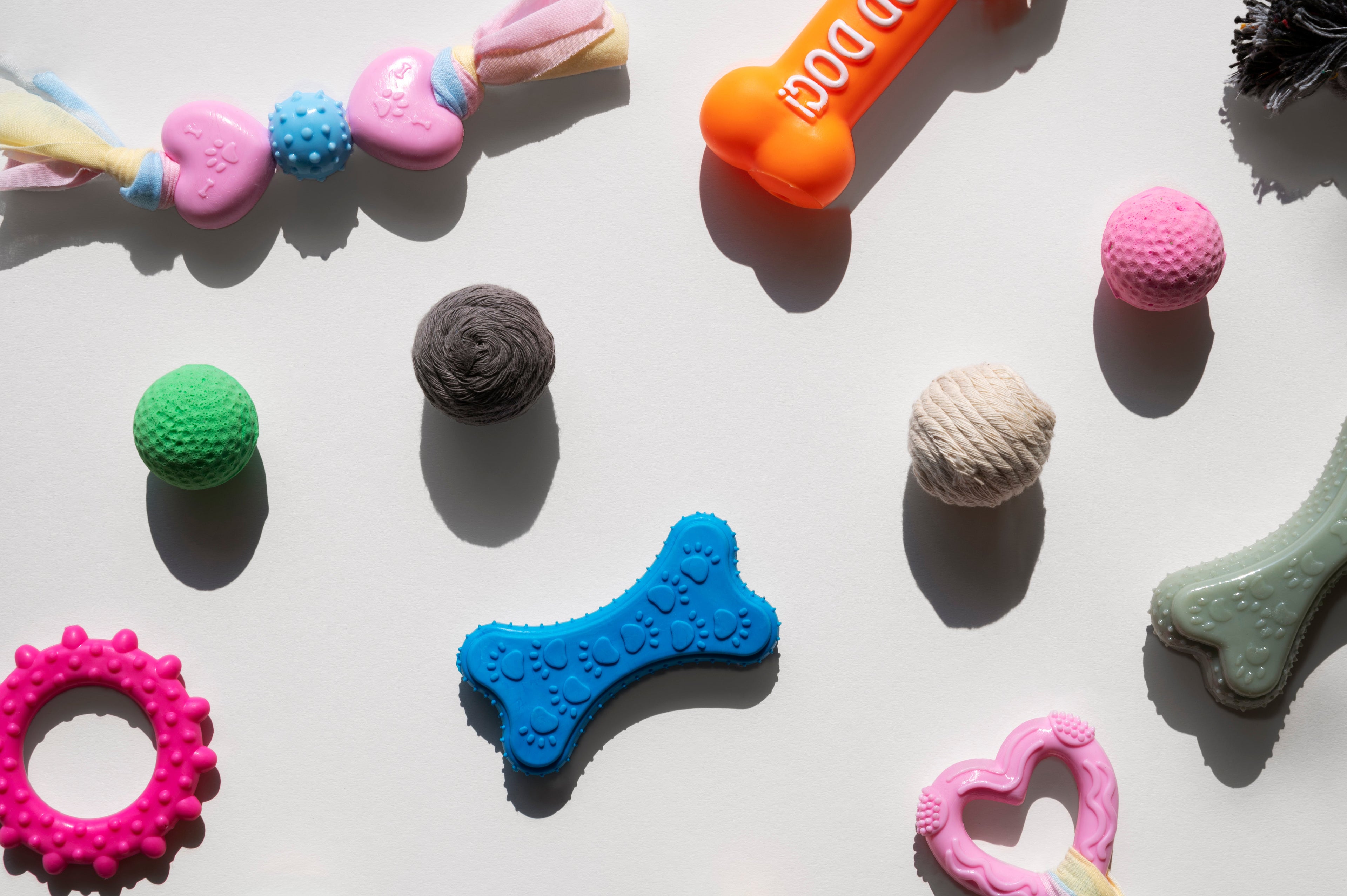 Jak dobrać zabawkę dla psa - bezpiecznie i bez rozczarowań