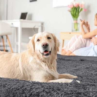 Wodoodporny koc dla psa i kota, szary średni